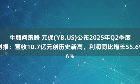 牛顾问策略 元保(YB.US)公布2025年Q2季度财报：营收10.7亿元创历史新高，利润同比增长55.6%